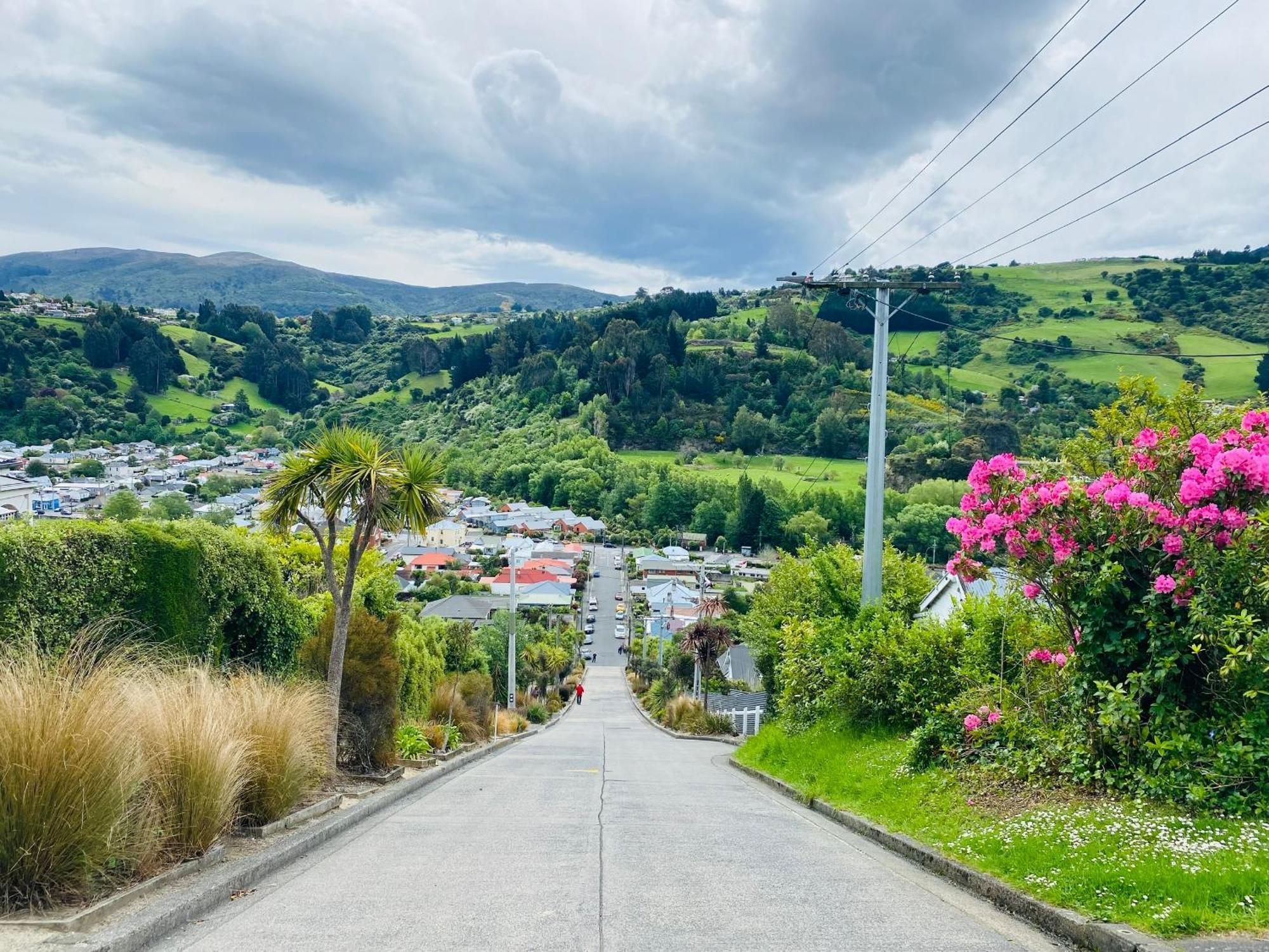 In Dunedin'S Heart, Full House, Full Sun, Full Chill, Why Stay At A Hotel When You Can Afford An Entire House Eksteriør bilde